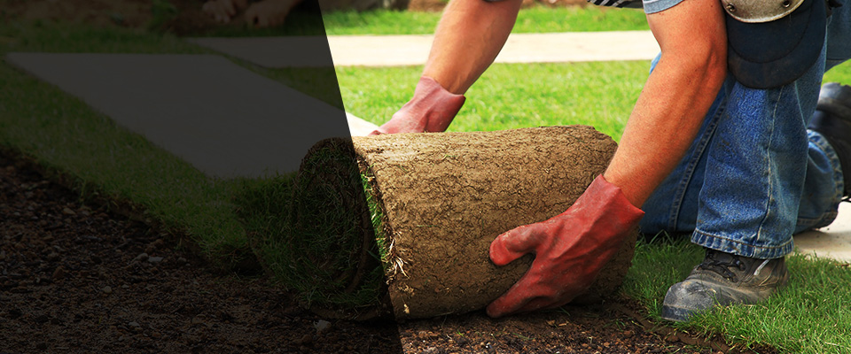 Marshalltown Landscapers